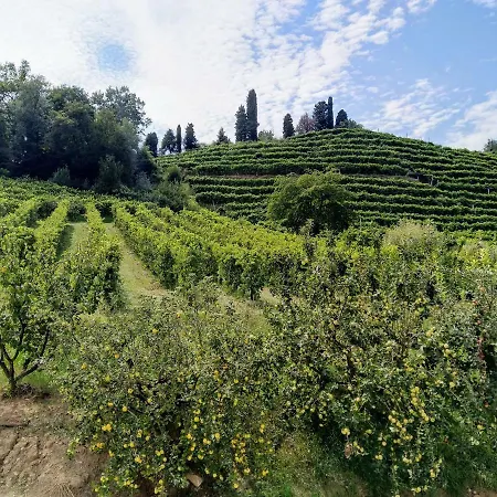 Casa Berton Appartamento *